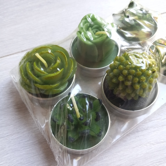 Scented Succulent Cactus Tealight Candles, 6pk NIP - Picture 4 of 13